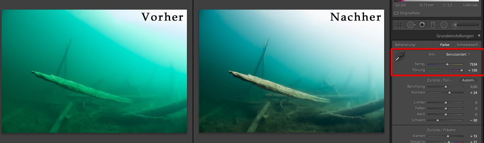 Tönung Blauwasser Bildbearbeitung Unterwasserfotografie