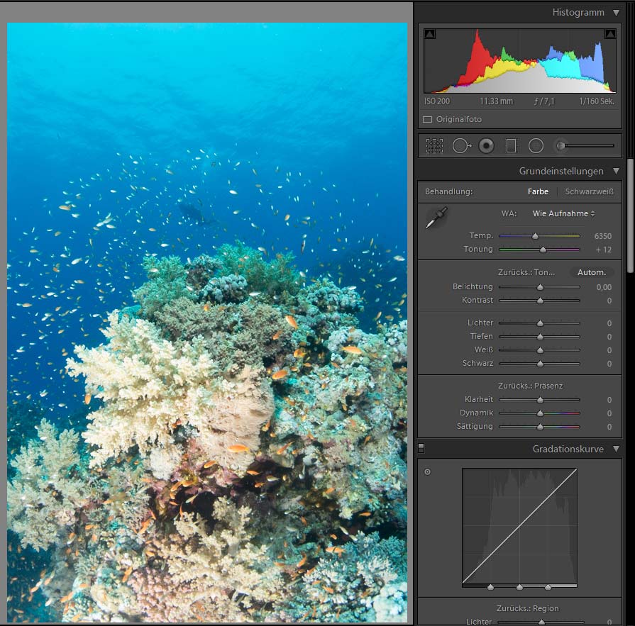 Unterwasserfotografie - Bildbearbeitung Beispiel am Außenriff- Erg Monika im Roten Meer mit Diving.de