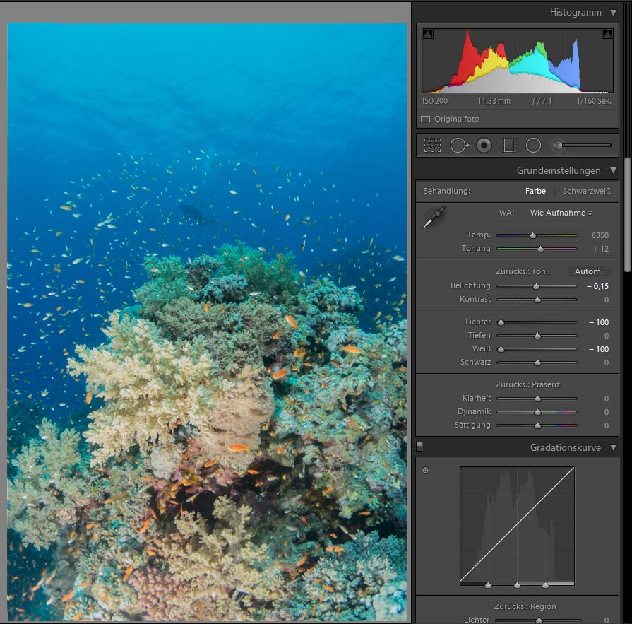 Bildbearbeitung Unterwasserfotografie - Belichtung anpassen - Lichter reduzieren