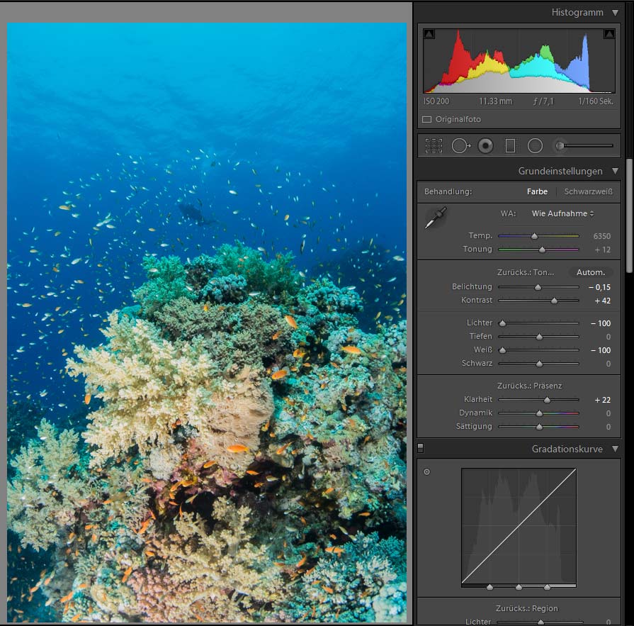 Unterwasserfotografie - Bildbearbeitung Kontraste erhöhen und Schatten verstärken