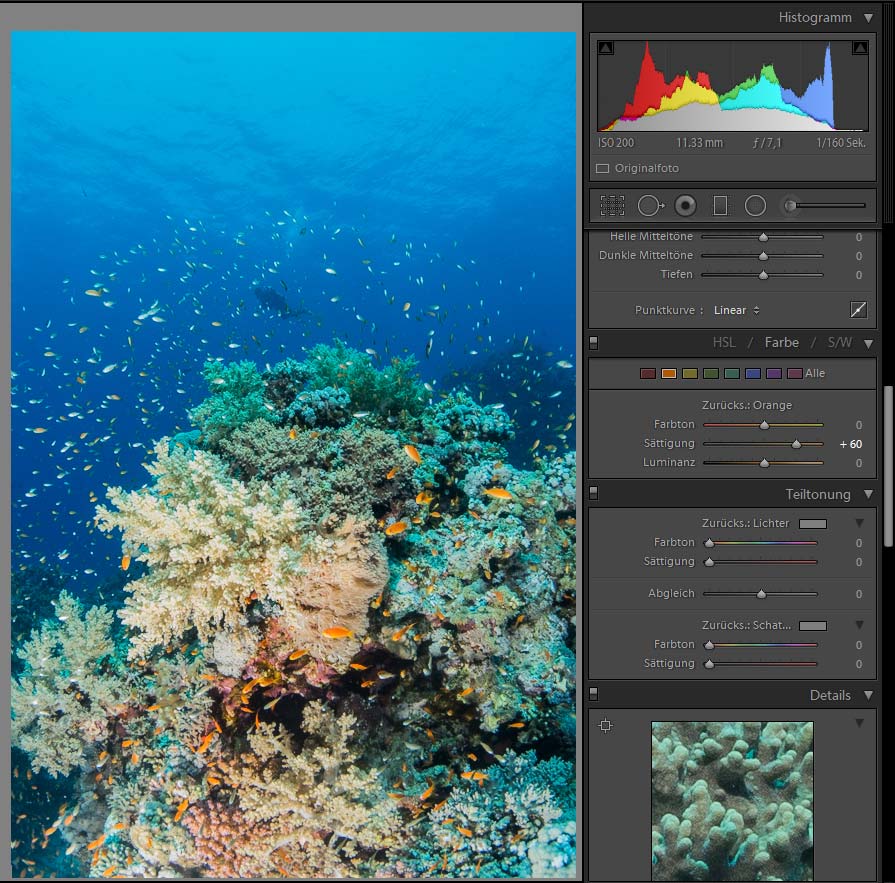 Bildbearbeitung in der Unterwasserfotografie - Farbkorrektur Gelb und Orange