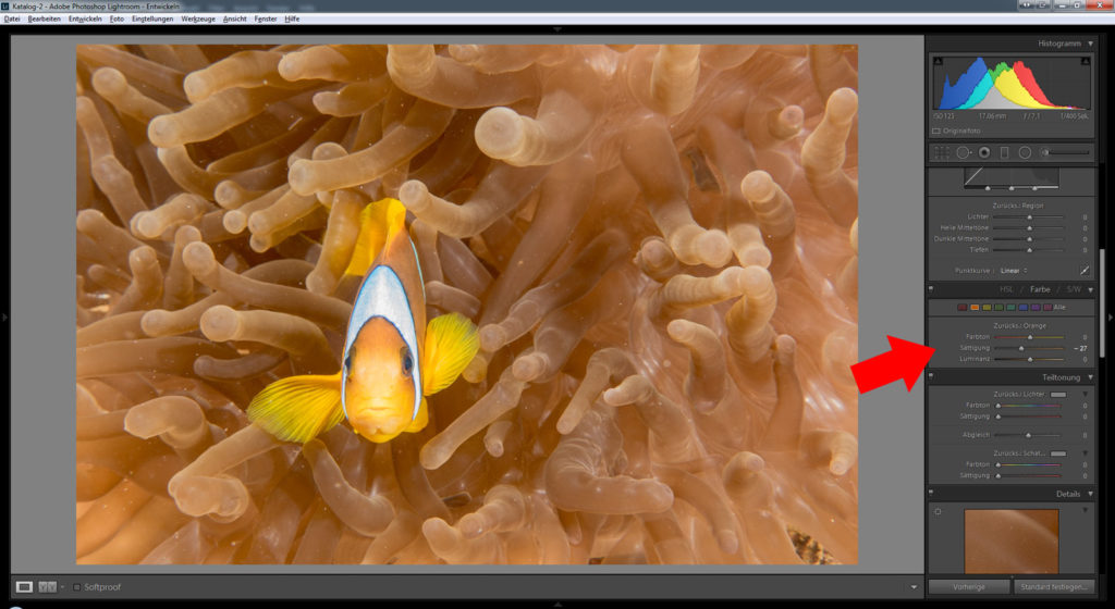 Bildbearbeitung Lightroom Photoshop Unterwasserfotografie Beispiel Anemonenfisch Tauchen Ägypten