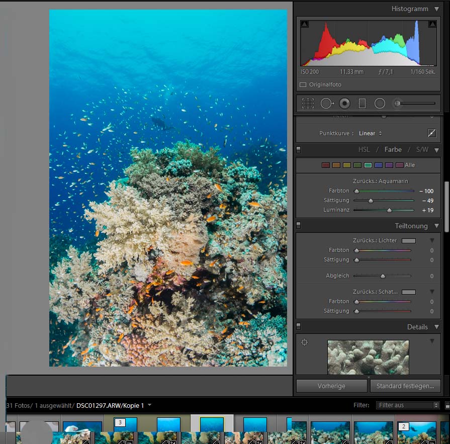 Bildbearbeitung in der Unterwasserfotografie - Farbkorrektur Blau, Aquamarin, Türkis 