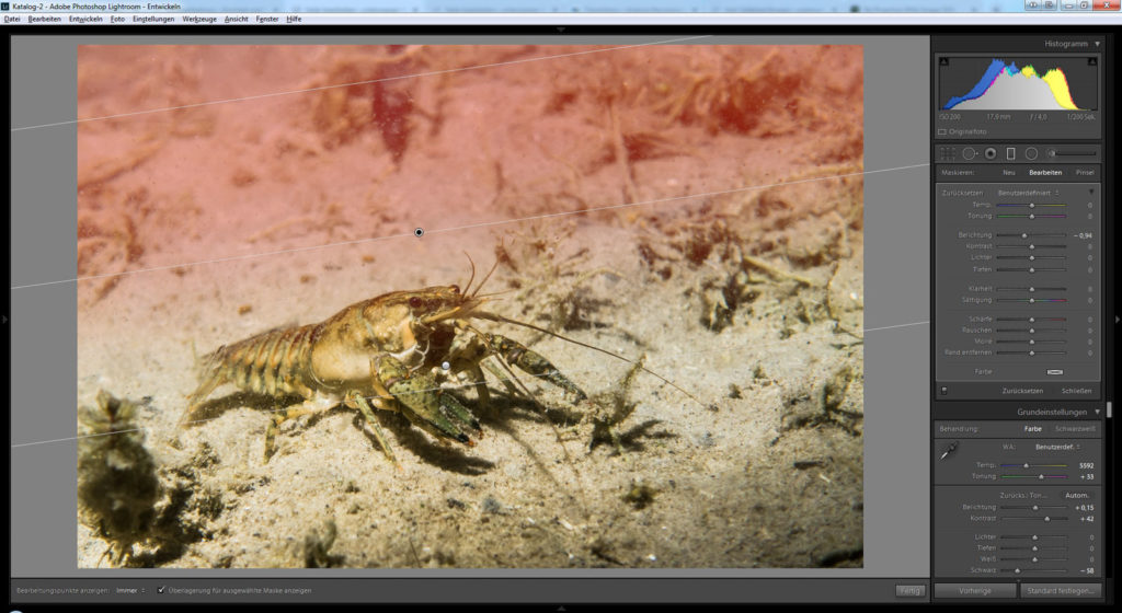 Bildbearbeitung Unterwasserfotografie Tauchen - Süßwasser Kamberkrebs mit Lightroom