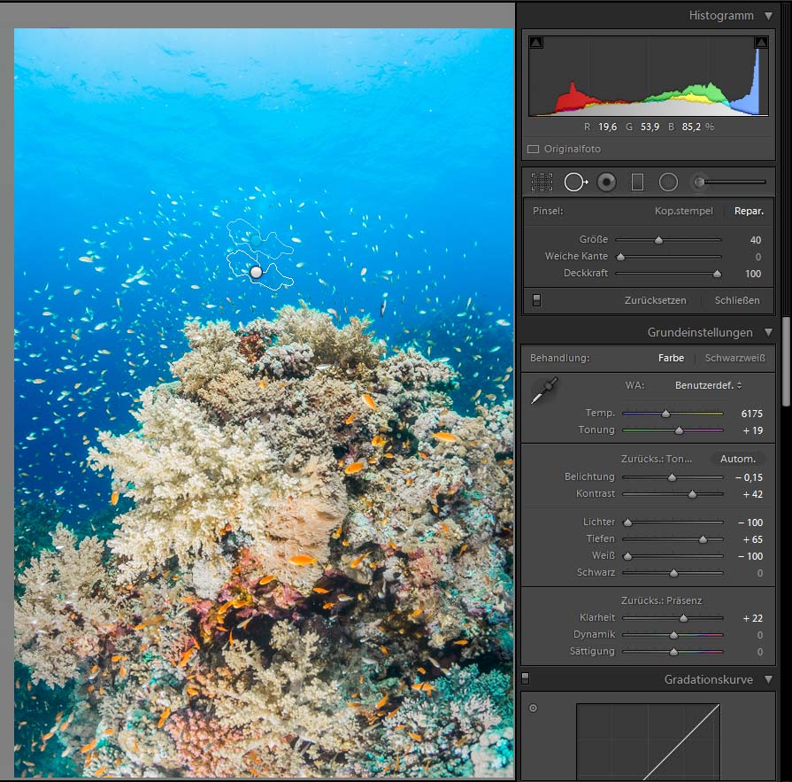 Bildbearbeitung Unterwasserfotografie - Taucher entfernen Stempel Reparaturpinsel